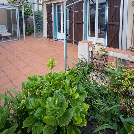 Charming House Garden & Garage